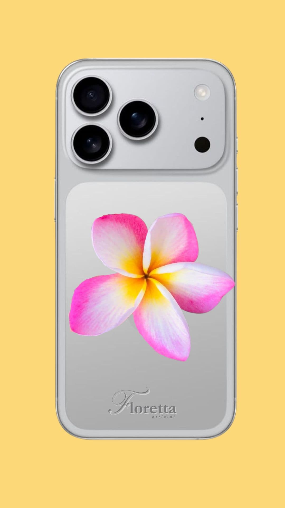 ดอกลีลาวดีสีชมพูขาว🌸 1