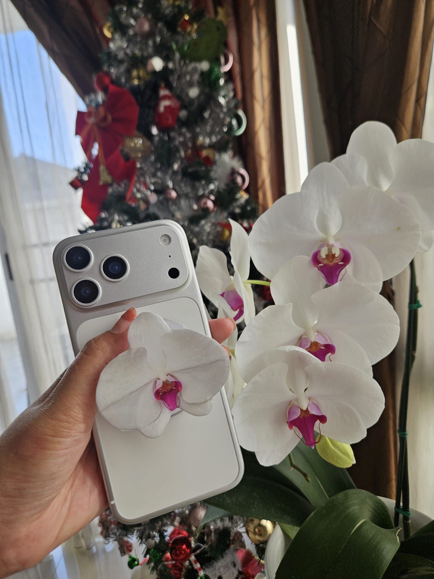 🤍🌸 กล้วยไม้ฟาแลนนอปซิสขาวปากชมพู 4