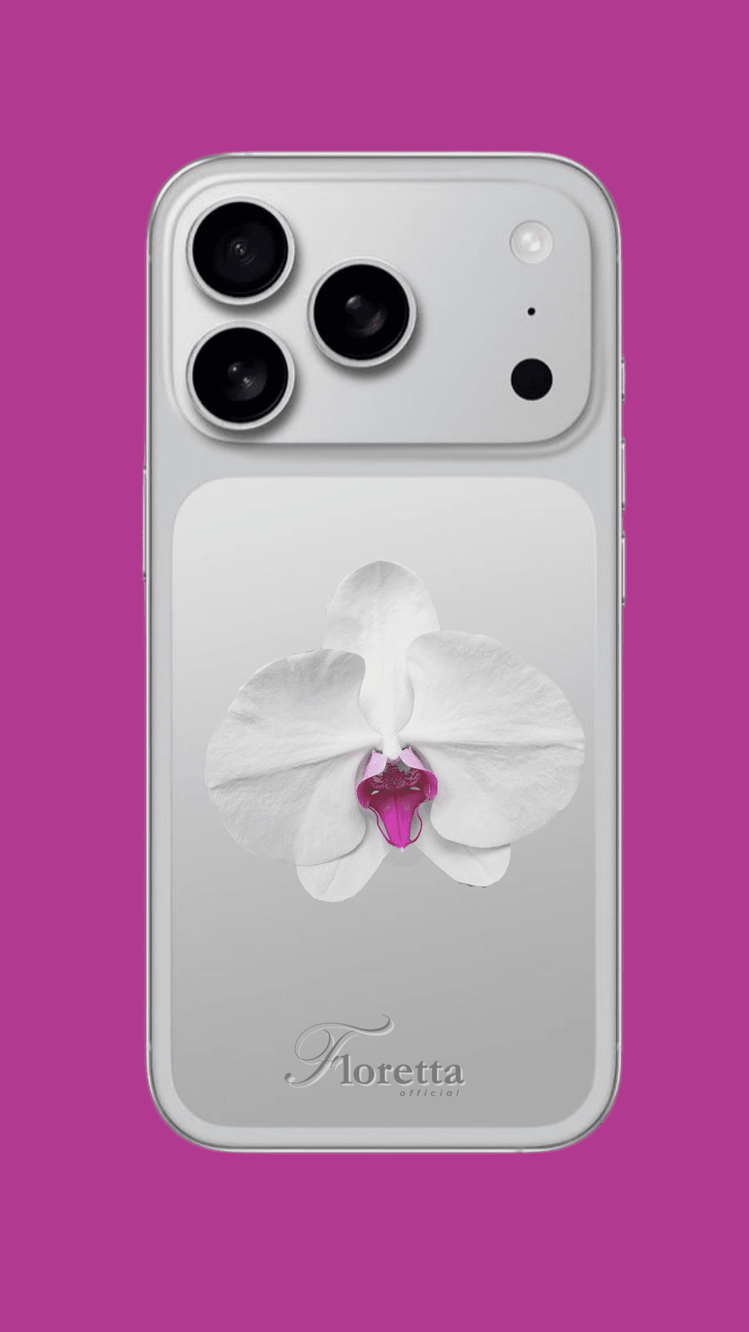 🤍🌸 กล้วยไม้ฟาแลนนอปซิสขาวปากชมพู