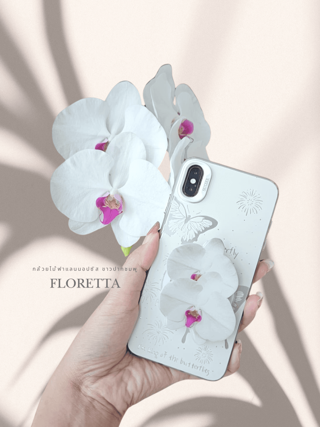 🤍🌸 กล้วยไม้ฟาแลนนอปซิส ขาวปากชมพู 3